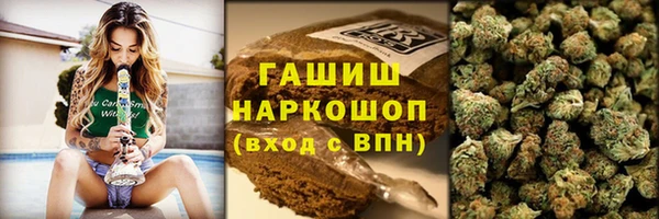 гидра Ладушкин