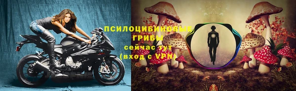 СК Орск