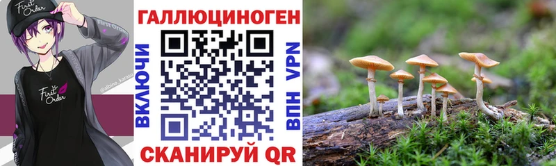Псилоцибиновые грибы MAGIC MUSHROOMS  цена   блэк спрут ссылки  Шиханы 